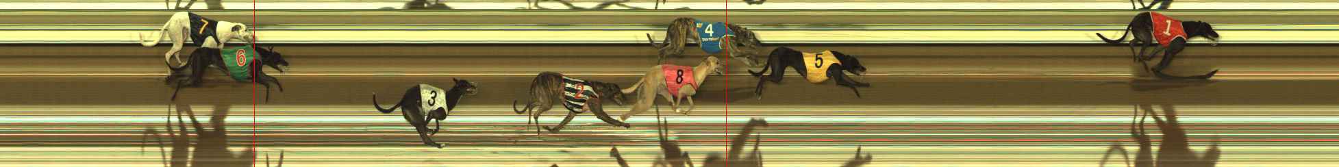 Race result finish photo